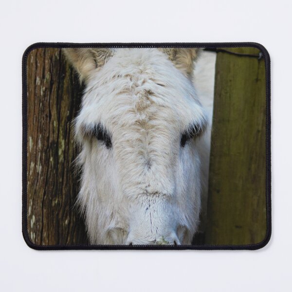 Item preview, White Donkey designed and sold by Louisa Sahin.