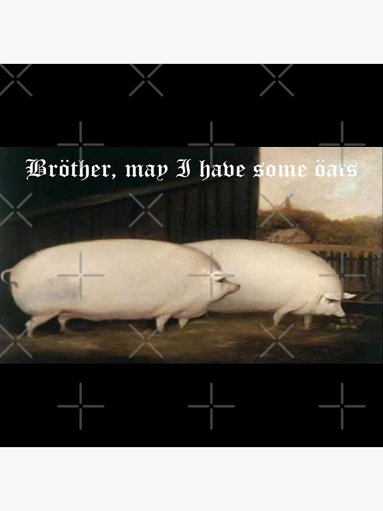 A meme of Piggy that I found