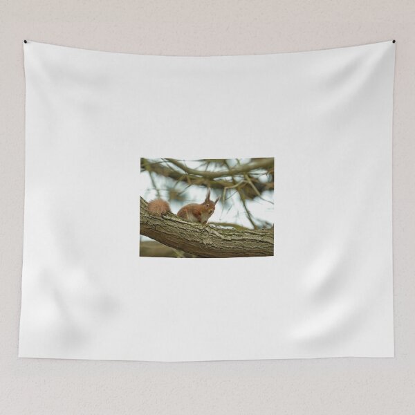 Item preview, Red Squirrel in Tree designed and sold by Sue Robinson.