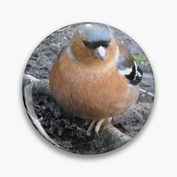 Item preview, chaffinch designed and sold by KathleenDawson.