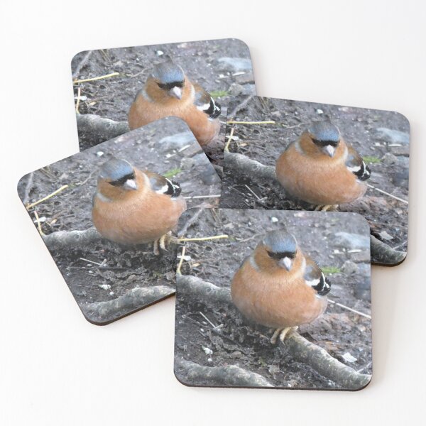 Item preview, chaffinch designed and sold by KathleenDawson.