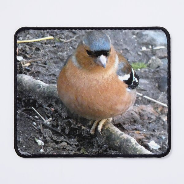 Item preview, chaffinch designed and sold by KathleenDawson.