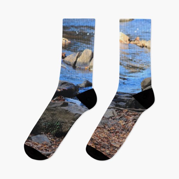 Item preview, Autumn Eno Rapids designed and sold by Michael Keeter.
