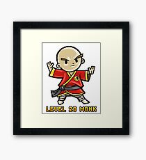 Level 20 Monk Framed Print