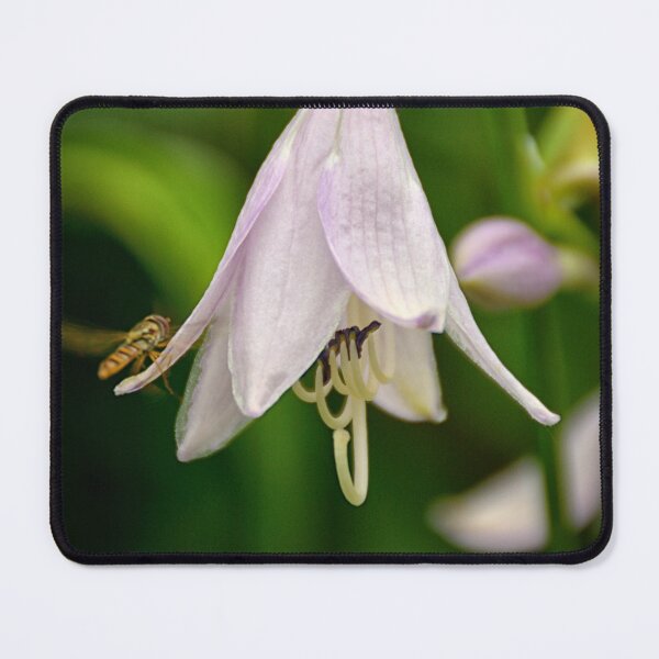 Item preview, Bee on flower designed and sold by wondertree.