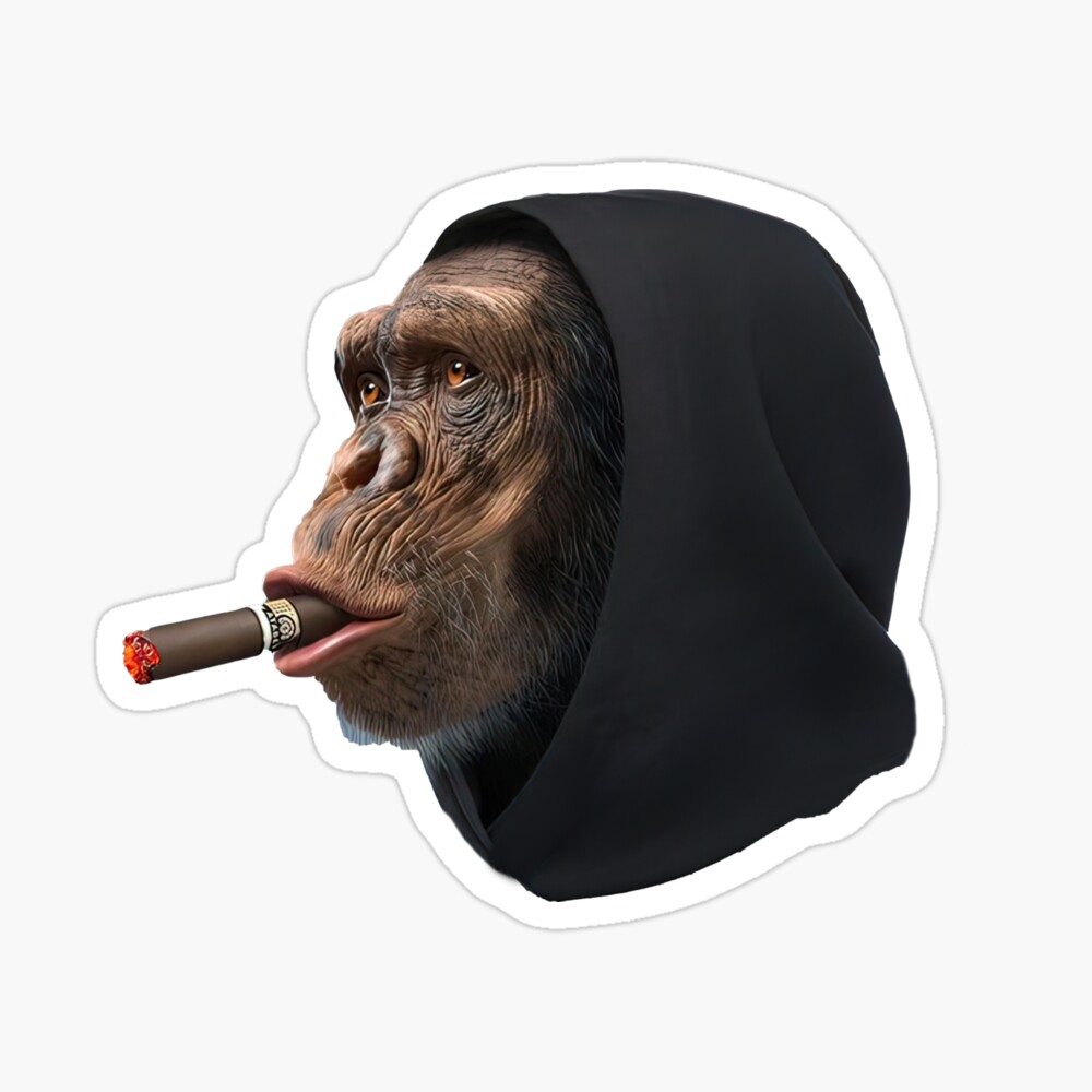 funny monkey smoking cuban cigar funny monkey smoking cuban cigar