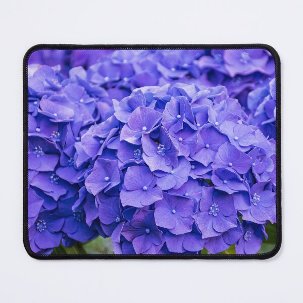 Item preview, Prolific Blue Purple Summer Hydrangeas designed and sold by SeaChangeDesign.