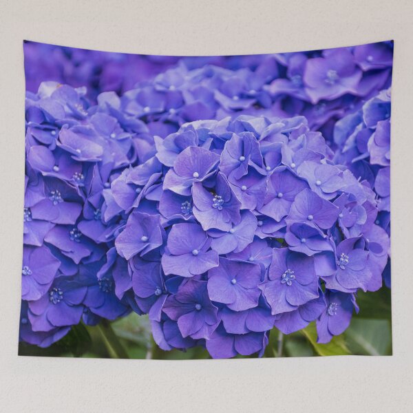 Item preview, Prolific Blue Purple Summer Hydrangeas designed and sold by SeaChangeDesign.