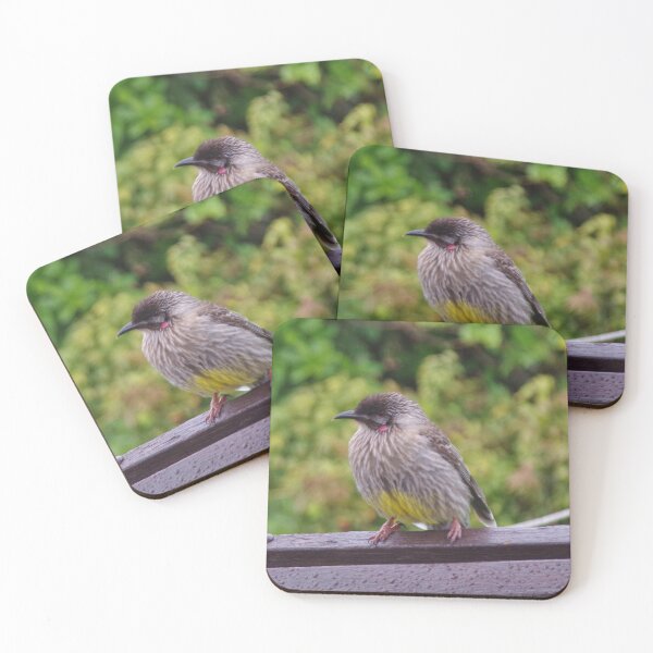 Item preview, Young Wattlebird In The Rain In Fitzroy Gardens, Australia designed and sold by lezvee.
