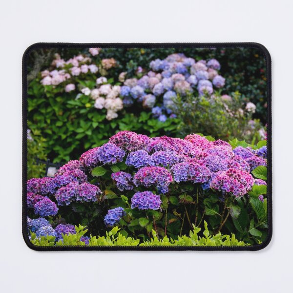 Item preview, Pink and Purple Hydrangeas designed and sold by photobytableau.