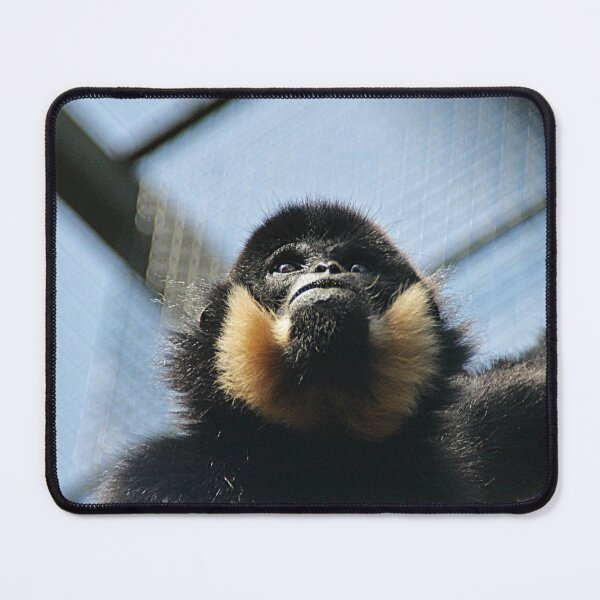 Item preview, Buff Cheeked Gibbon designed and sold by Ladymoose.
