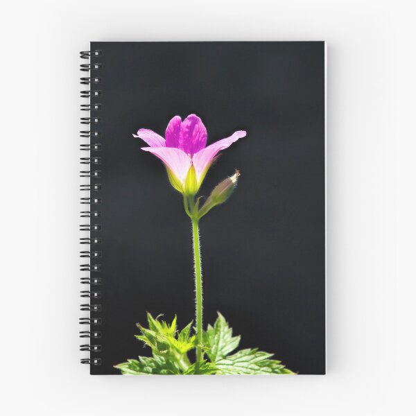 Item preview, Wild Geraniums designed and sold by Dorset Girl.