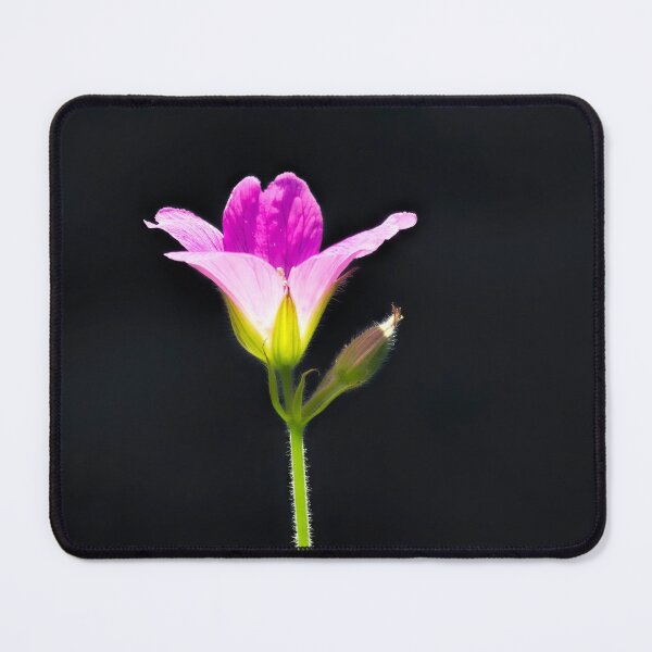 Item preview, Wild Geraniums designed and sold by Dorset Girl.