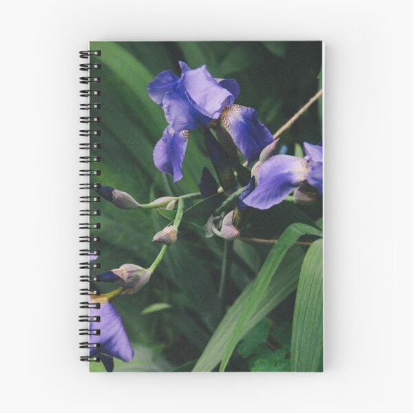 Item preview, The Beauty is Near Us designed and sold by denis-romanov.