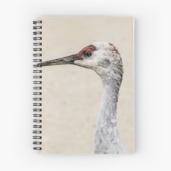Item preview, Sandhill Crane designed and sold by Marie Cardona.