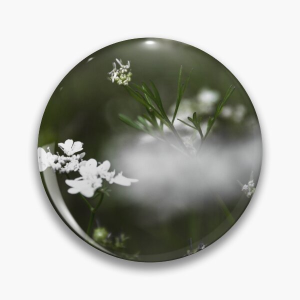 Item preview, coriander flower. designed and sold by Nino rocha fotografia.