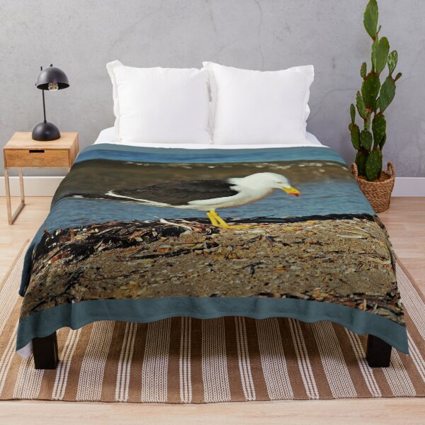 Item preview, Sunlight touches the wave behind a Pacific Gull on the shoreline designed and sold by imaginethis.