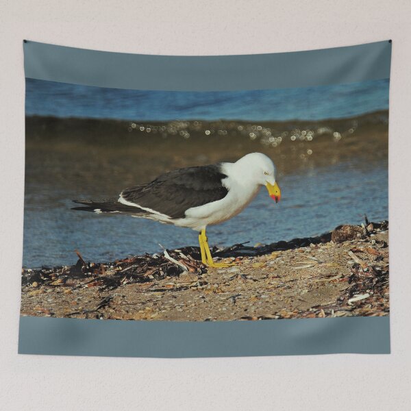 Item preview, Sunlight touches the wave behind a Pacific Gull on the shoreline designed and sold by imaginethis.