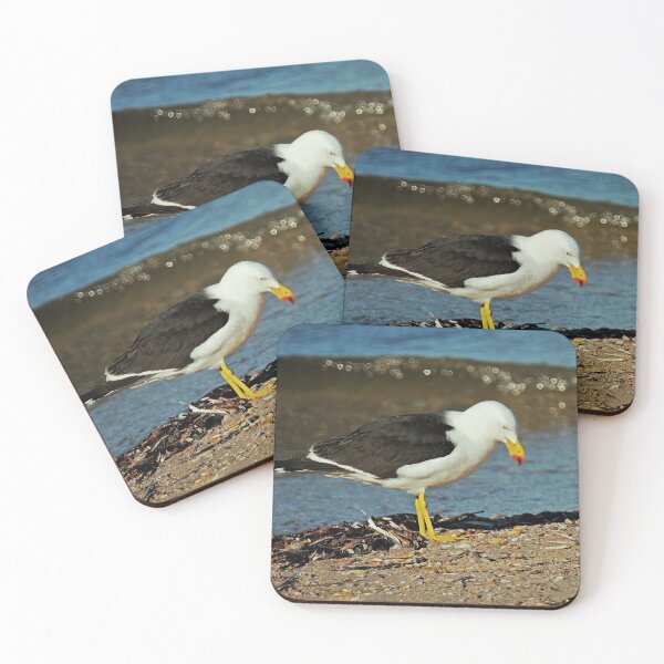 Item preview, Sunlight touches the wave behind a Pacific Gull on the shoreline designed and sold by imaginethis.