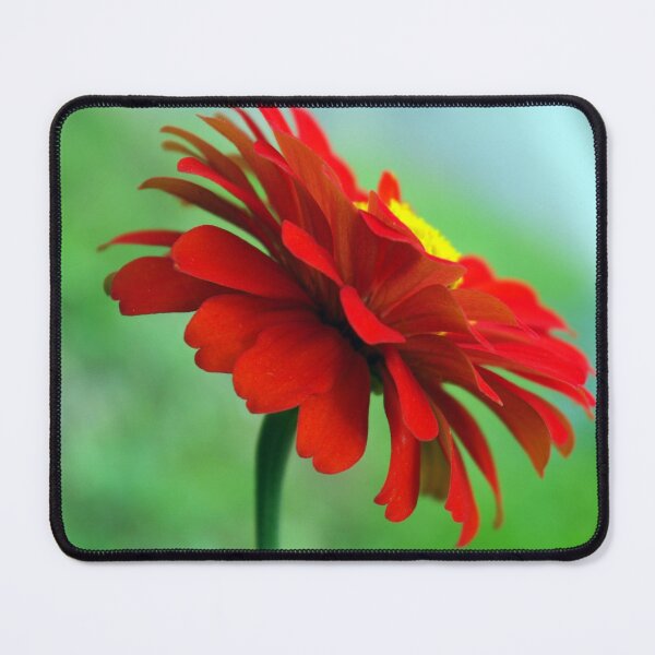 Item preview, Red Zinnia designed and sold by Rainy.