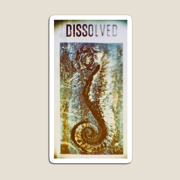 Dissolved: Seahorse Magnet