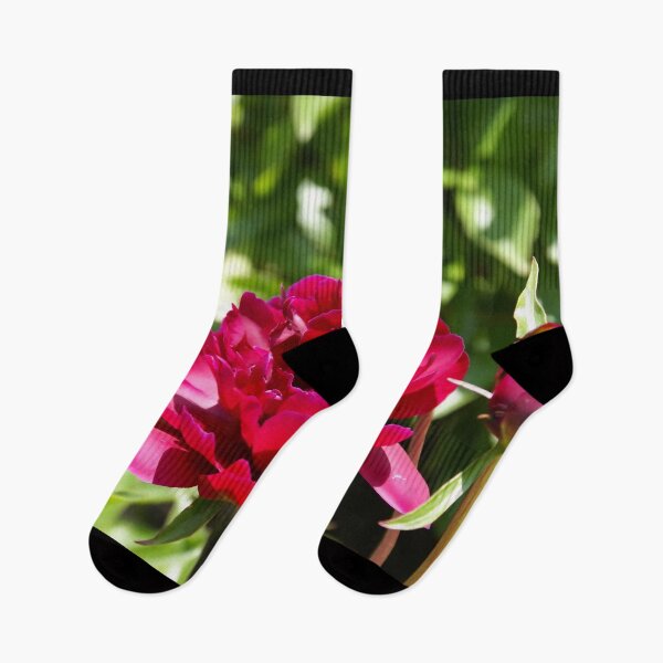 Item preview, Dark Maroon velvet peonies  designed and sold by SVETLANA ZOLOTAREVA.