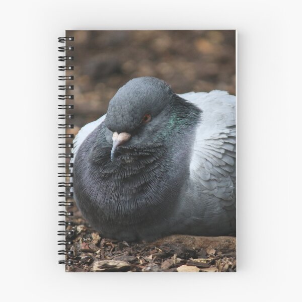 Item preview, Perturbed Pigeon designed and sold by beastsonbits.