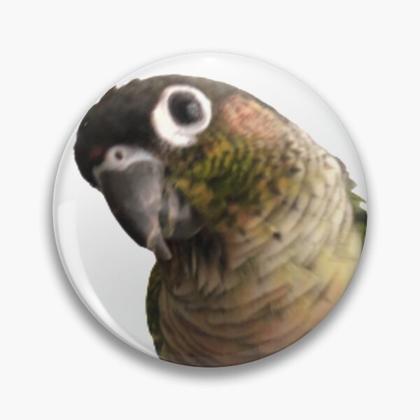 Item preview, Green Cheek Conure design | Conure | Small Parrot | Parakeet | Parrot lover designed and sold by TatianaLG.