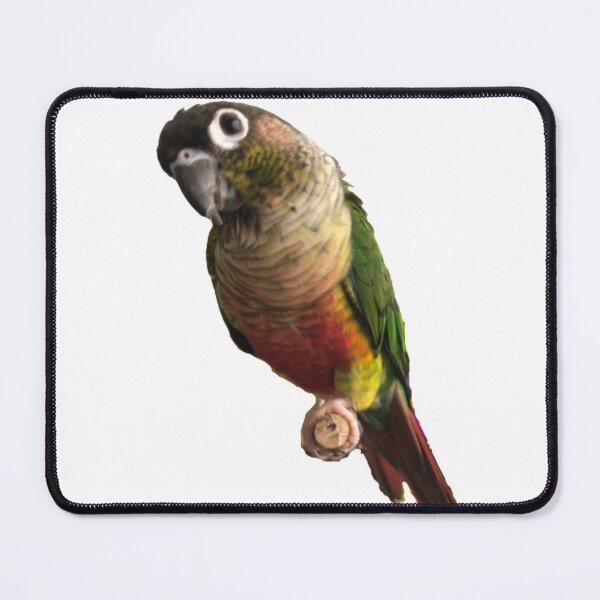 Item preview, Green Cheek Conure design | Conure | Small Parrot | Parakeet | Parrot lover designed and sold by TatianaLG.