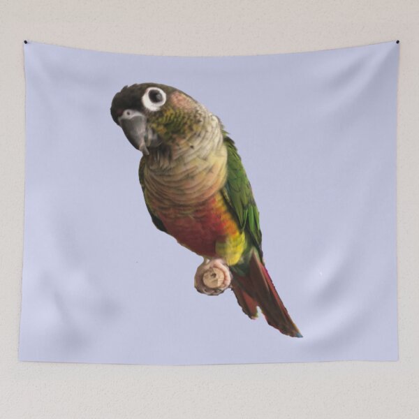 Item preview, Green Cheek Conure design | Conure | Small Parrot | Parakeet | Parrot lover designed and sold by TatianaLG.