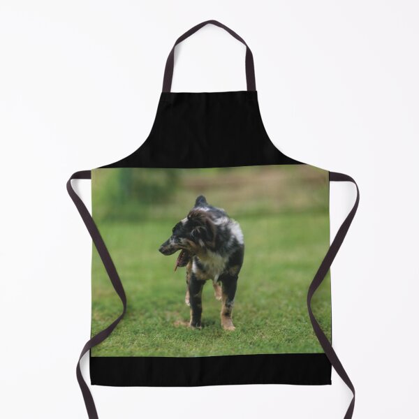 Item preview, Stunning Australian Shepheard Puppy designed and sold by PandLcreations.
