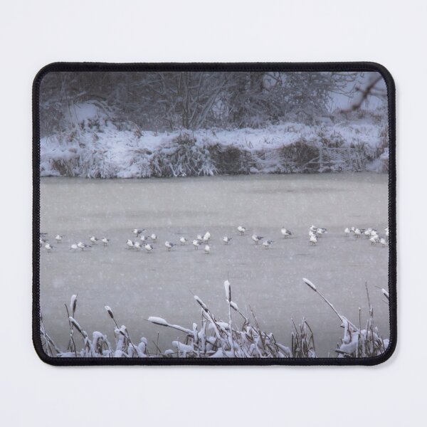 Item preview, Winter Birds II designed and sold by rodriguesfhs.