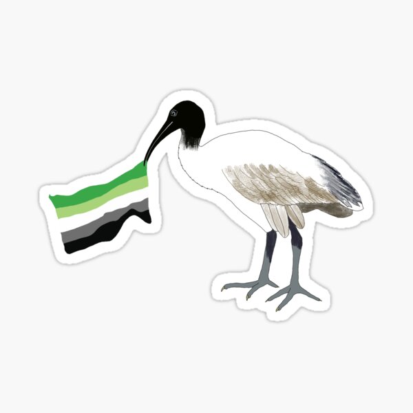 Aromantic Bin Chicken Sticker
