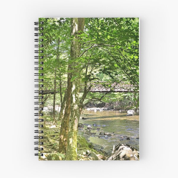 Item preview, Puente escondido en el sendero Gatlinburg en The Smokies designed and sold by LisaWootenPhoto.