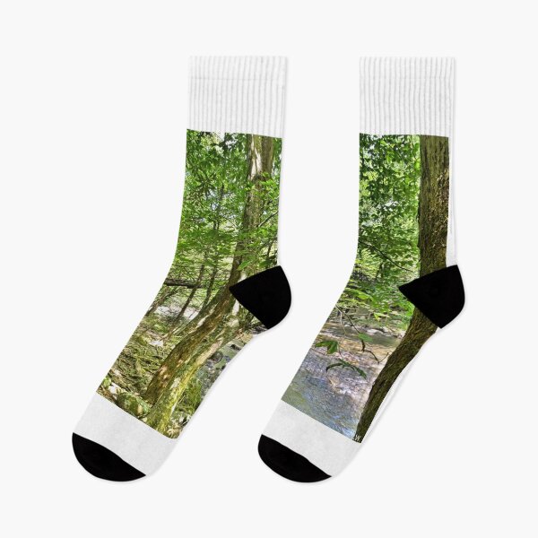 Item preview, Hidden Bridge On The Gatlinburg Trail In The Smokies designed and sold by LisaWootenPhoto.
