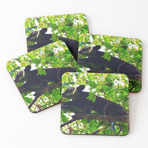 Item preview, Going Out On A Limb designed and sold by LisaWootenPhoto.