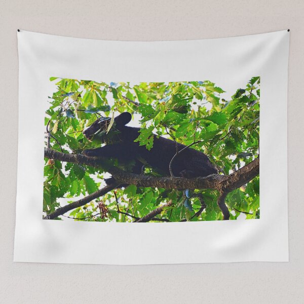 Item preview, Going Out On A Limb designed and sold by LisaWootenPhoto.