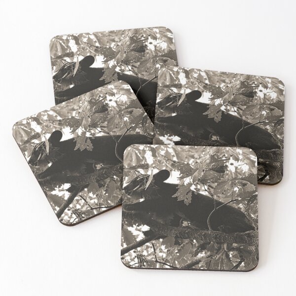 Item preview, Going Out On A Limb Black And White designed and sold by LisaWootenPhoto.