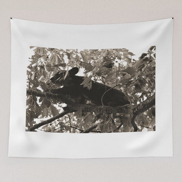 Item preview, Going Out On A Limb Black And White designed and sold by LisaWootenPhoto.