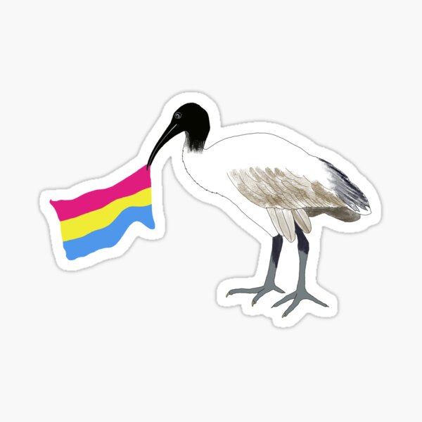 Pansexual Bin Chicken Sticker