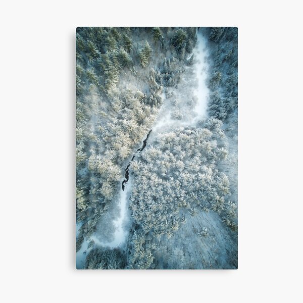 Borreal Whorl Canvas Print