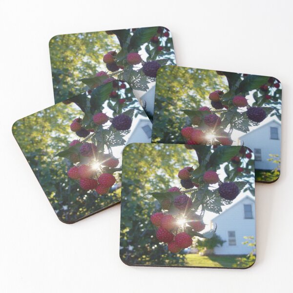 Item preview, Taste of Summer designed and sold by NorthernNotes.
