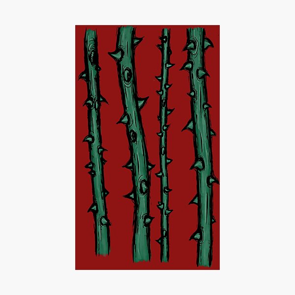thorns Photographic Print