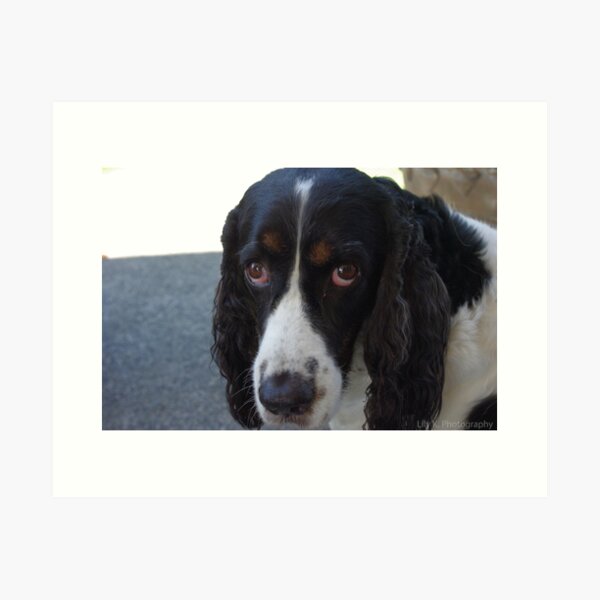 Droopy Dog Art Prints Redbubble Droopy Dog Art Prints Redbubble