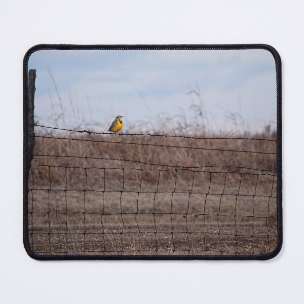 Item preview, Meadowlark on Fence designed and sold by Suz Garten.