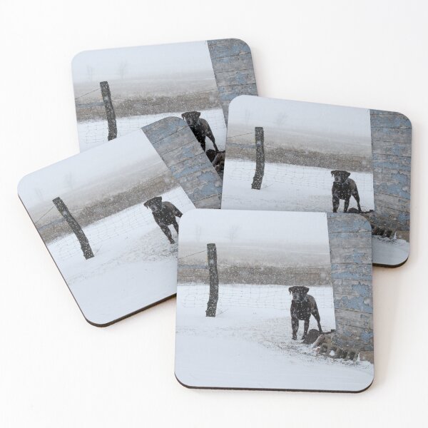 Item preview, Snowy Labrador Retriever designed and sold by Suz Garten.