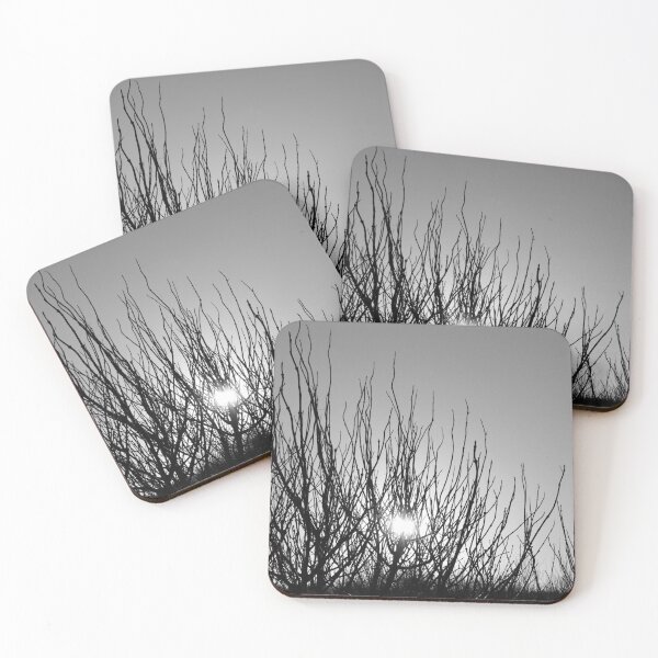 Item preview, Winter sun behind trees designed and sold by graaay13.
