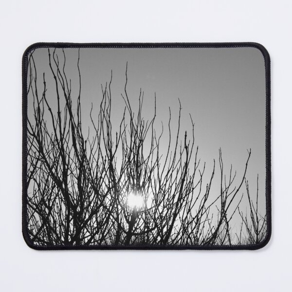 Item preview, Winter sun behind trees designed and sold by graaay13.