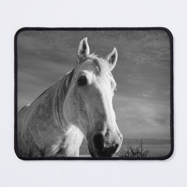 Item preview, Our Mare Stormy designed and sold by Suz Garten.