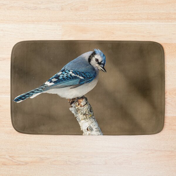 Artikelvorschau, Blue Jay entworfen und verkauft von Michael Cummings.